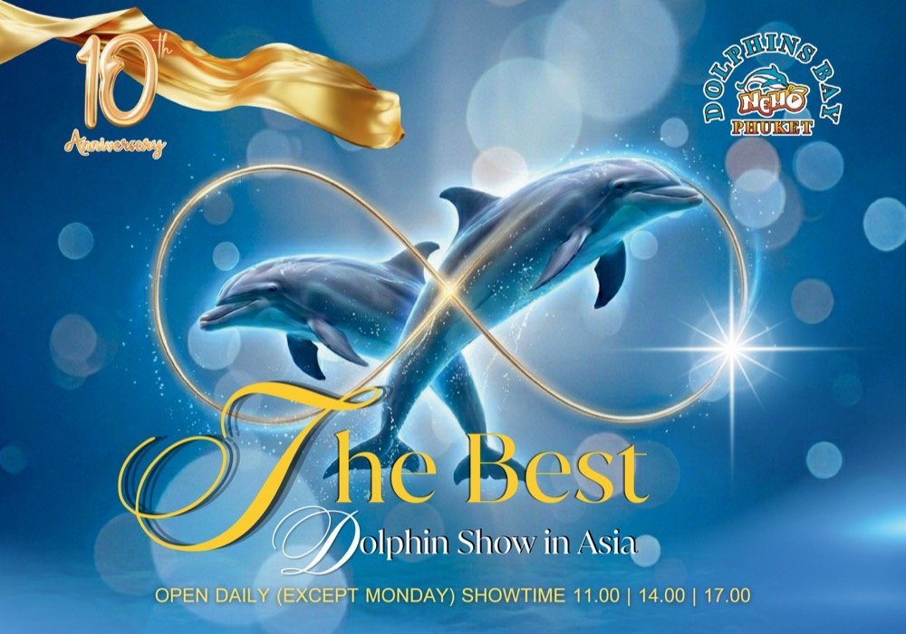 Dolphin show performance
