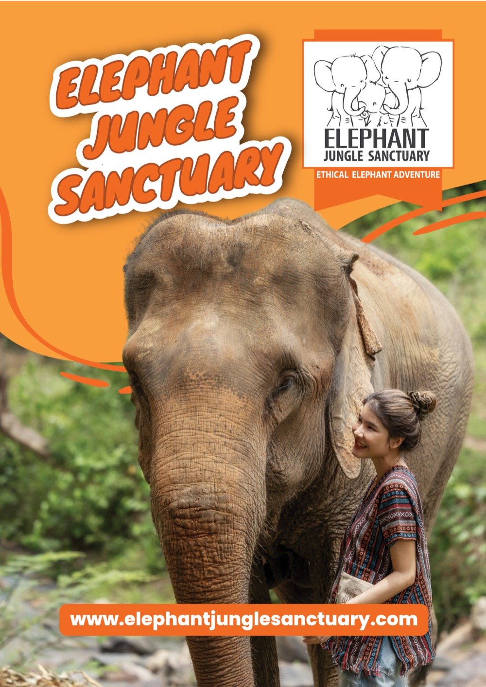 Elephant jungle sanctuary experience